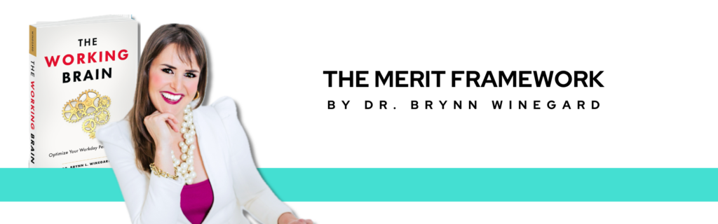 MERIT Framework – Brynn Winegard