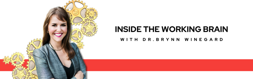 Brynn Winegard The Working Brain Part 2 Dec 3